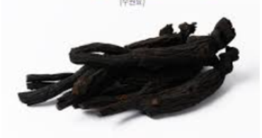 Địa chỉ bán tinh chất hắc sâm uy tín – Cẩn trọng với hàng giả, hàng kém chất lượng