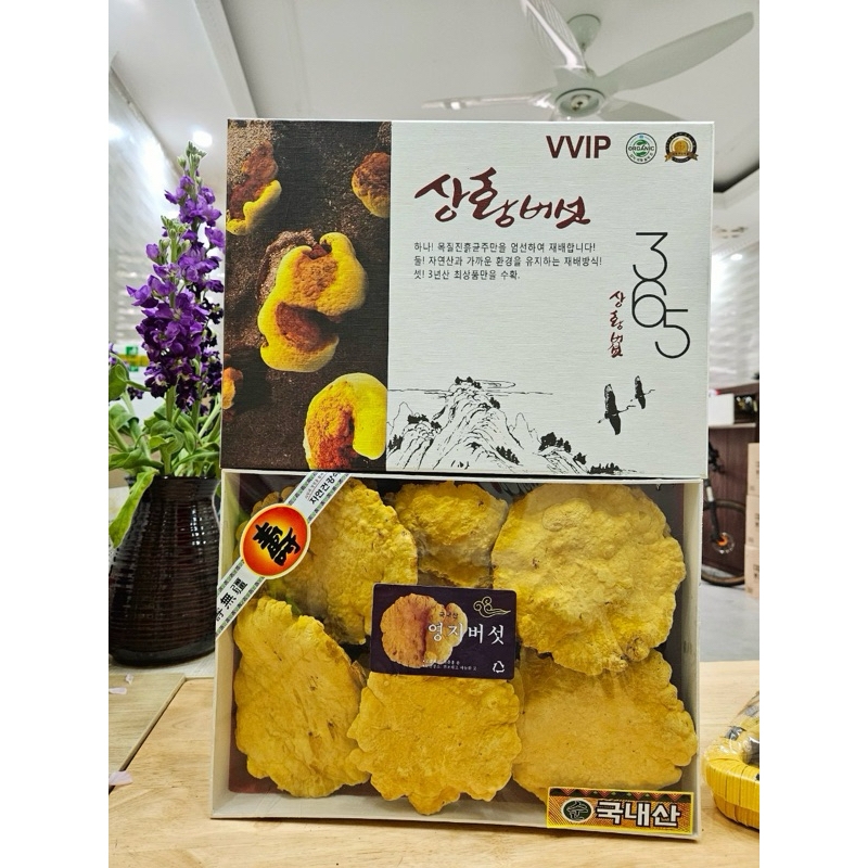 Nấm linh chi vàng Thượng Hoàng 365 Hàn Quốc - 500 grm